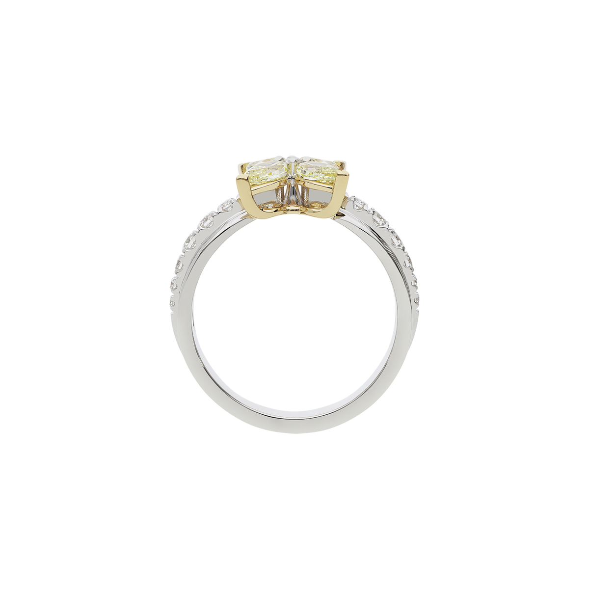 Ring A11709/YW-WY