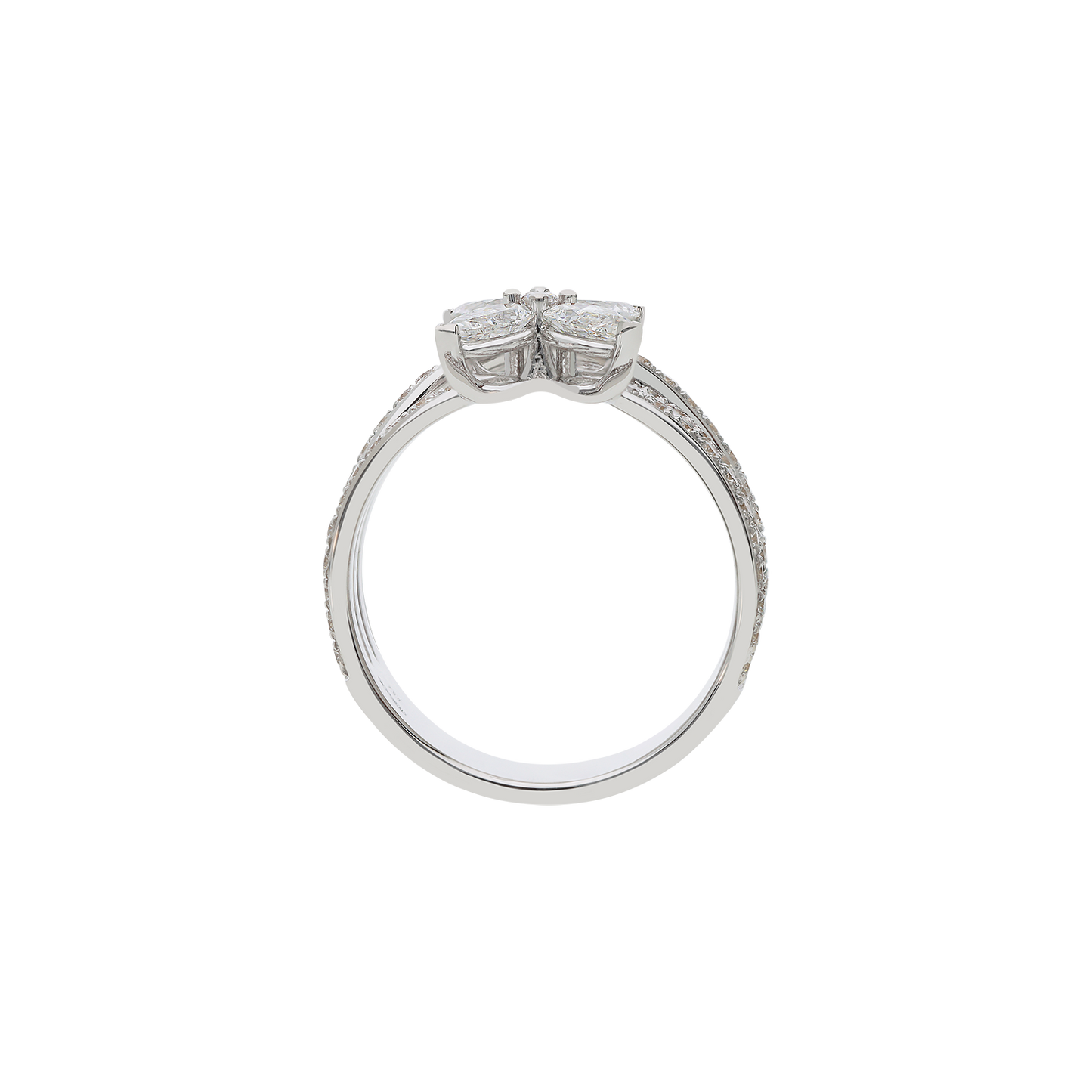 Ring A11721/W-W Lenti & Villasco