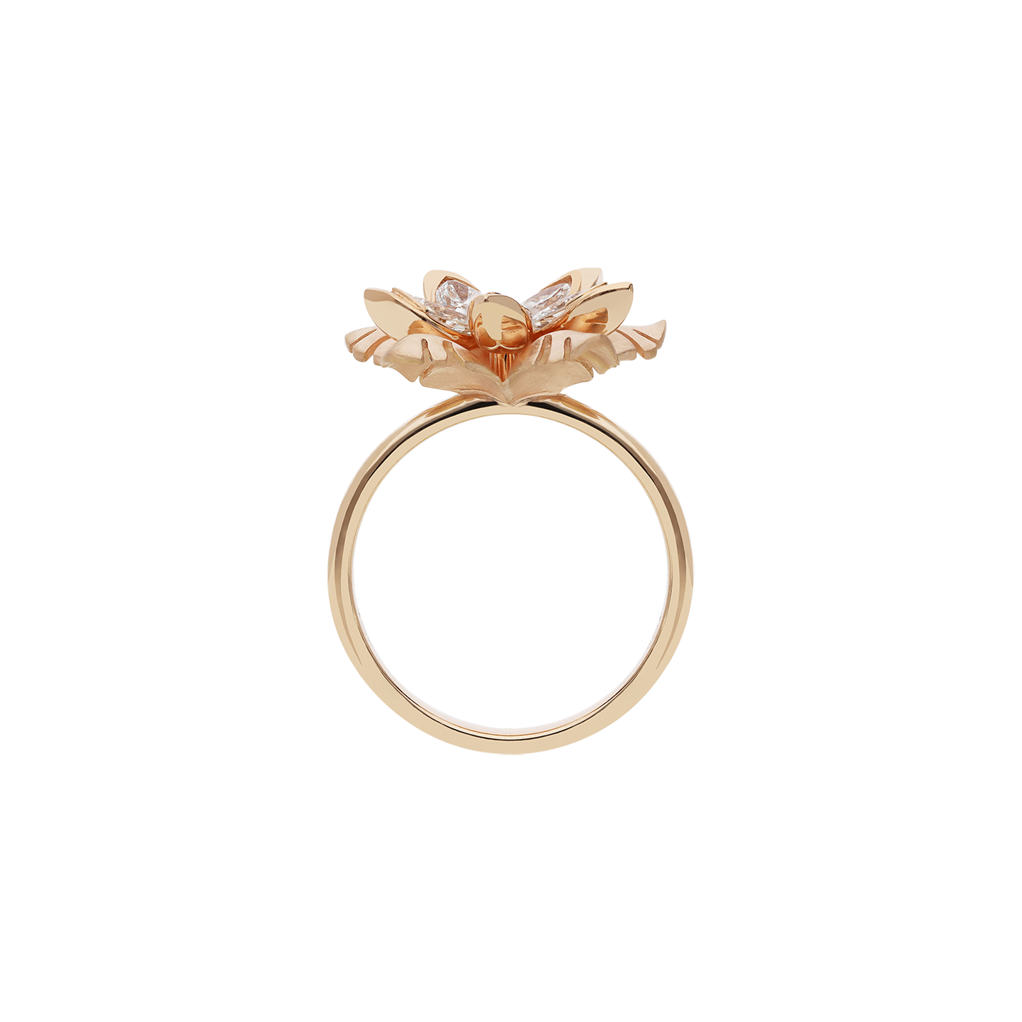 Ring A11928/W-R Lenti & Villasco