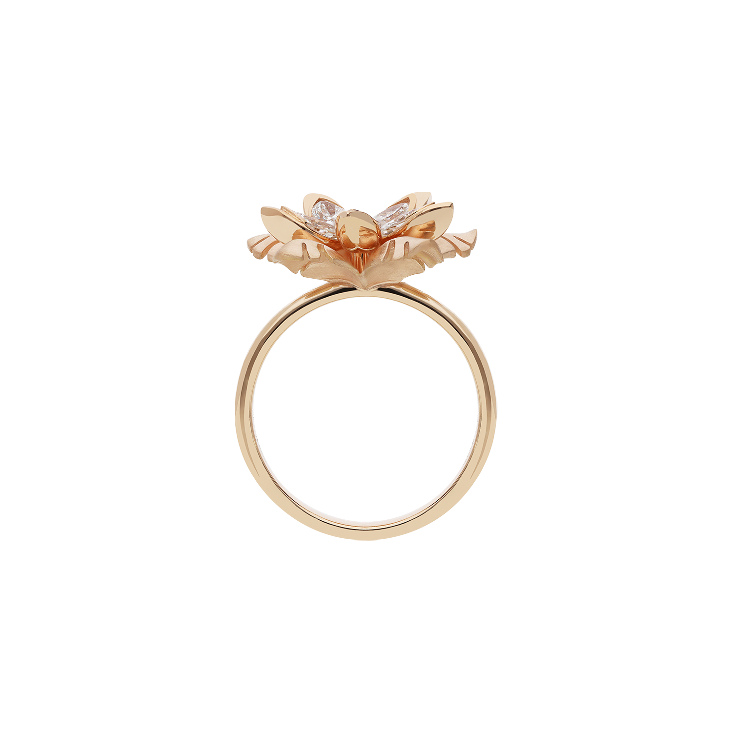 Ring A11928/W-R Lenti & Villasco