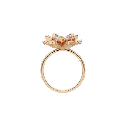Ring A11928/W-R Lenti & Villasco