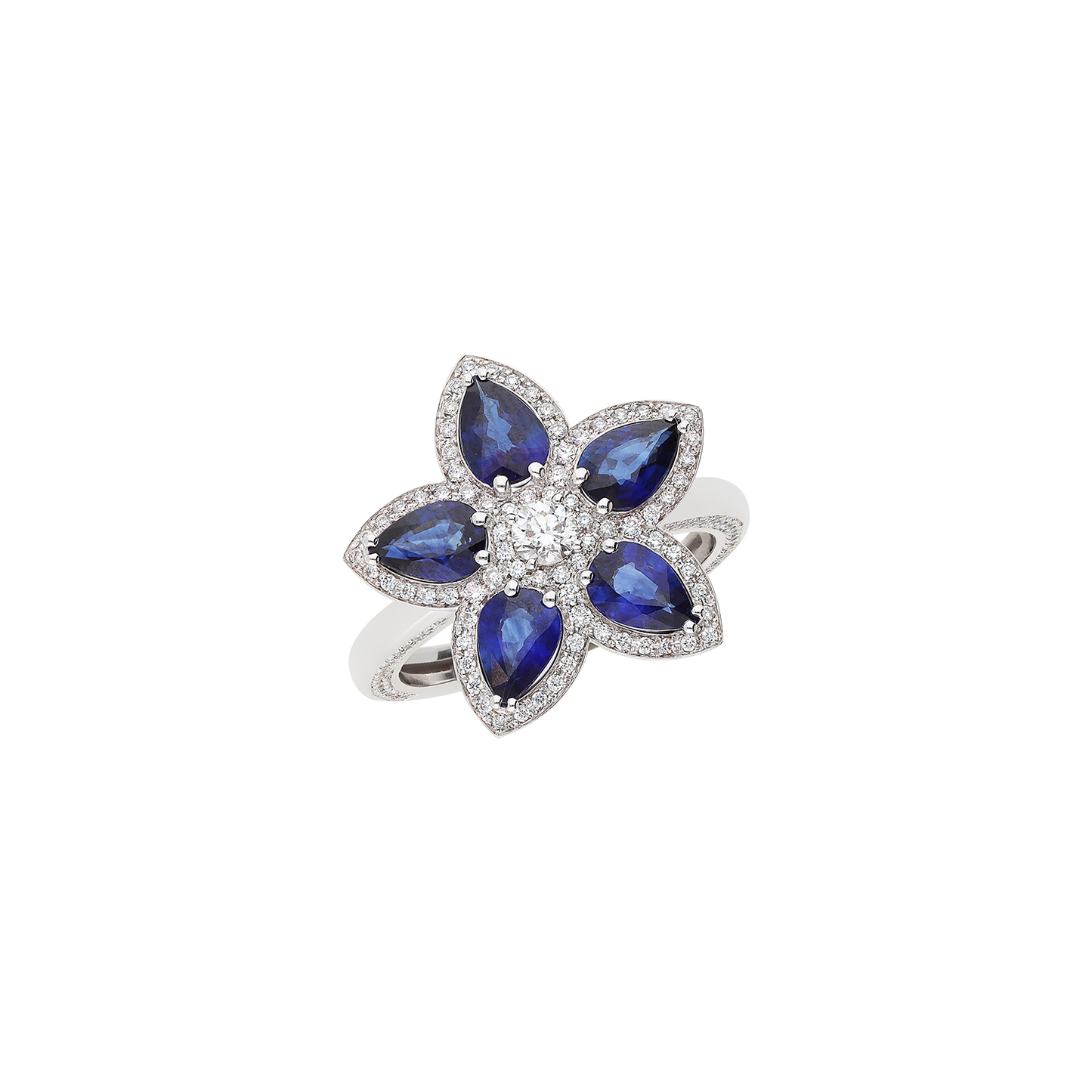 Ring A12016/ZBW-W