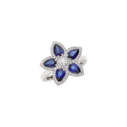 Ring A12016/ZBW-W