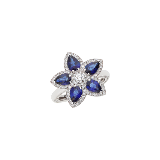 Ring A12016/ZBW-W