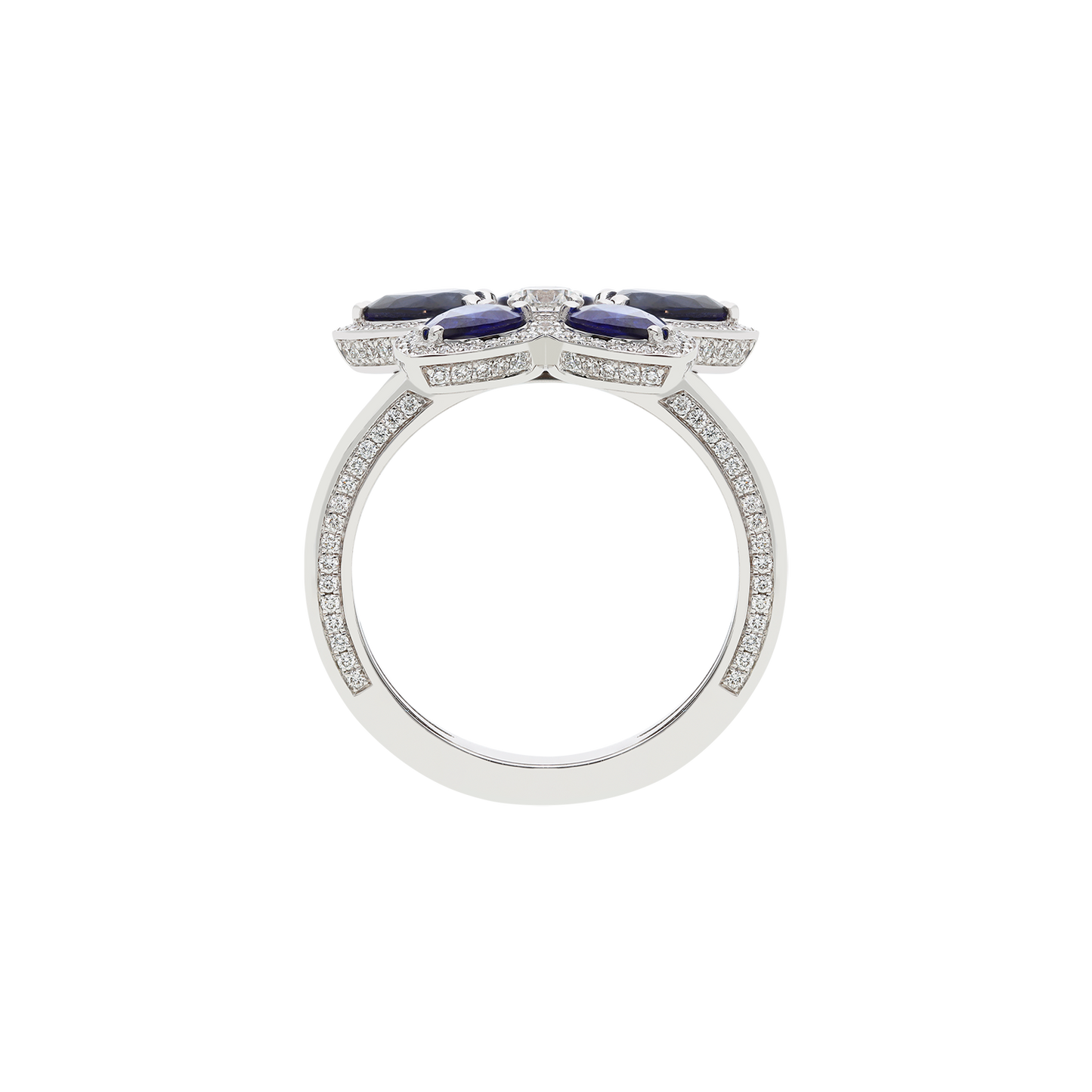 Ring A12016/ZBW-W
