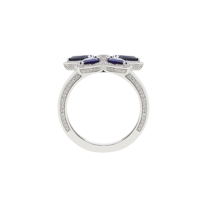 Ring A12016/ZBW-W