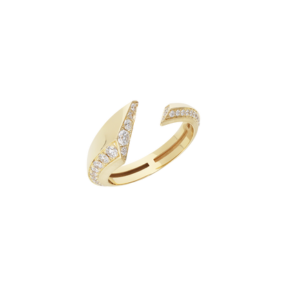 Ring A12038/W-Y