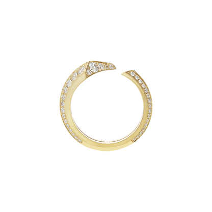 Ring A12038/W-Y
