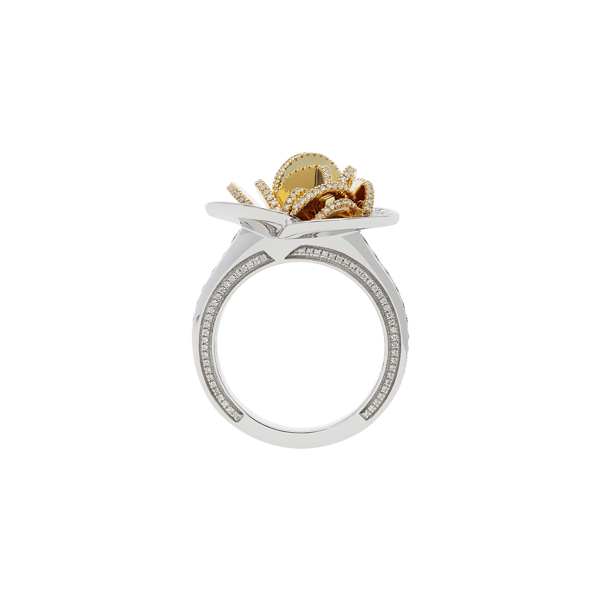 Ring A12093/W-WY