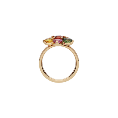Ring A8542/ZW-R