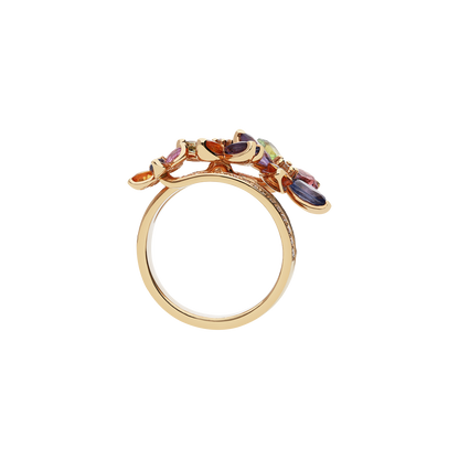 Ring A8873/ZW-R