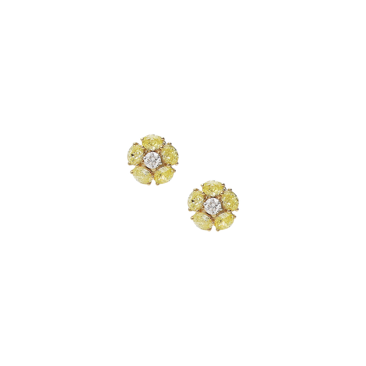 Earrings B10284/YW-YW Lenti & Villasco
