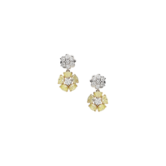 Earrings B10285/YW-WY Lenti & Villasco