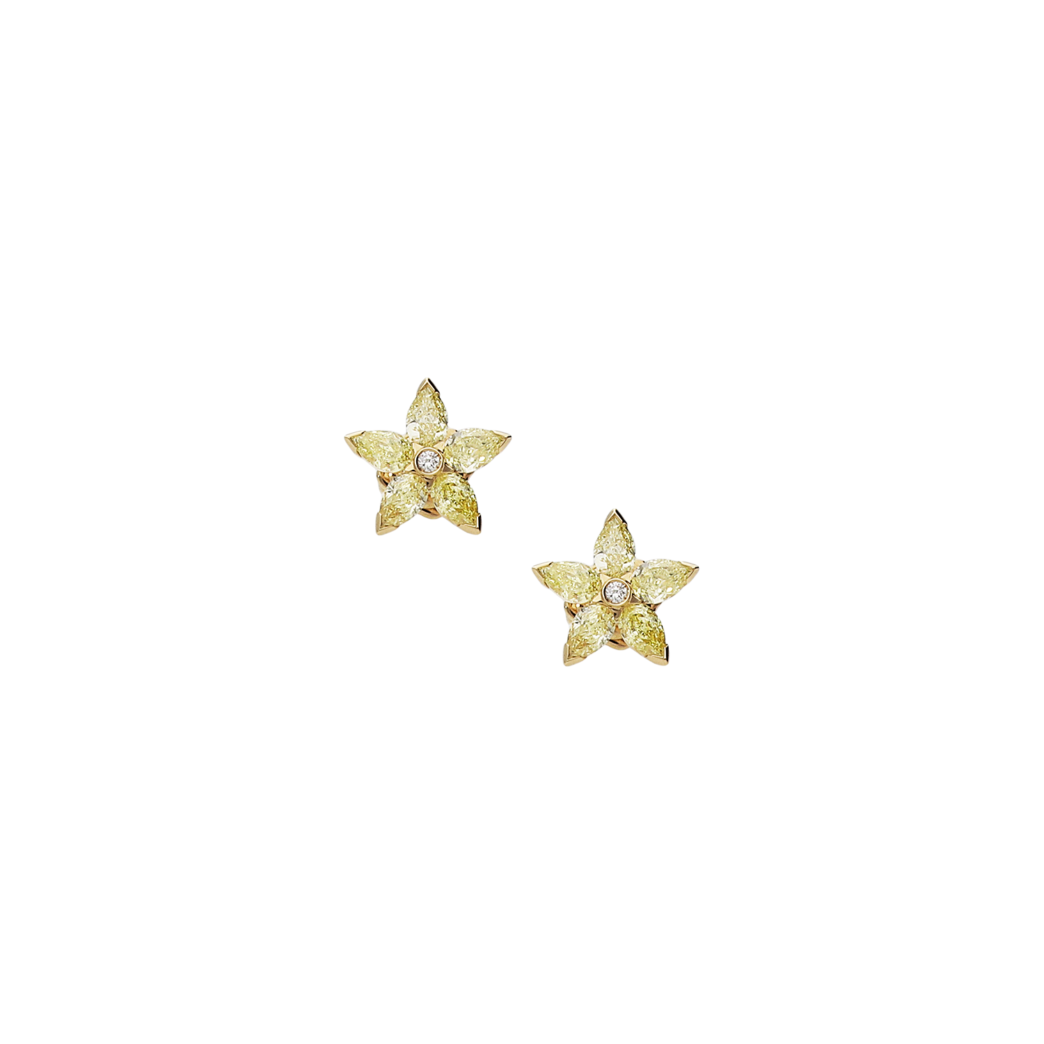 Earrings B10309/YW-Y Lenti & Villasco