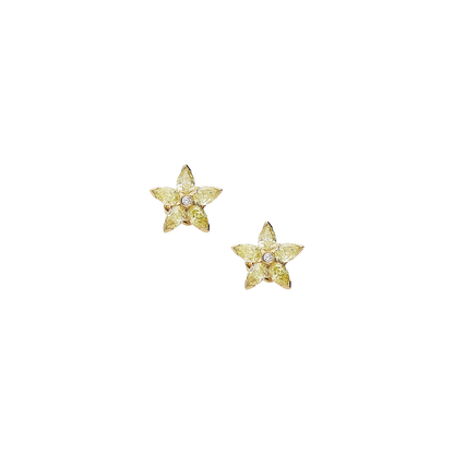 Earrings B10309/YW-Y Lenti & Villasco
