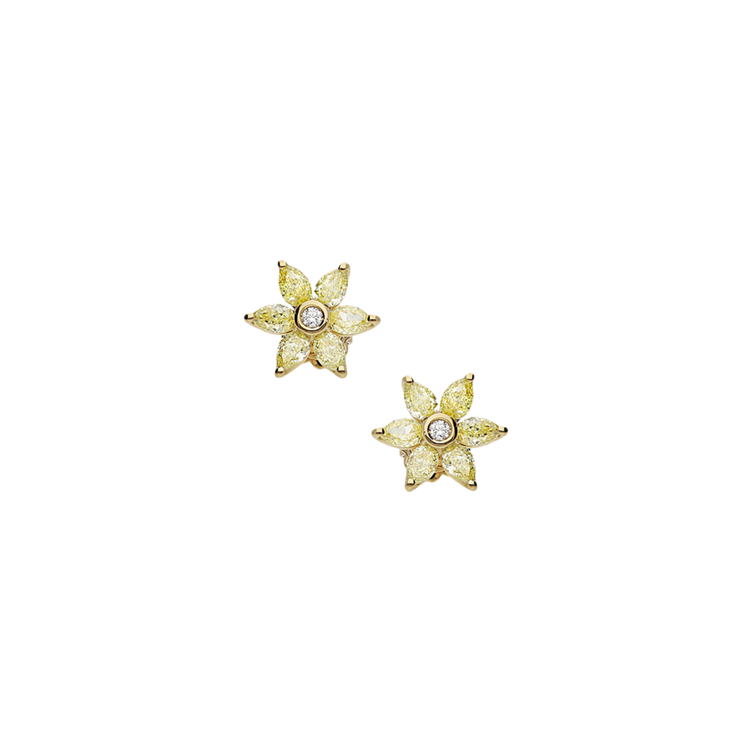 Earrings B10326/YW-Y Lenti & Villasco