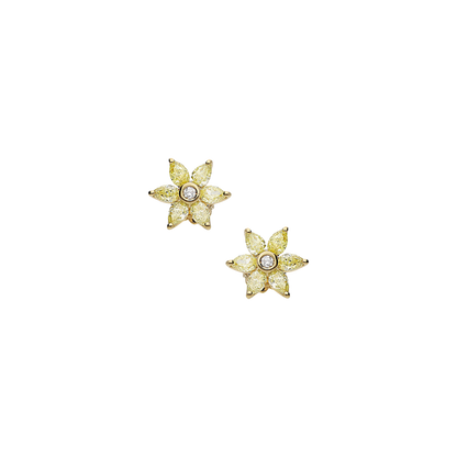 Earrings B10326/YW-Y Lenti & Villasco