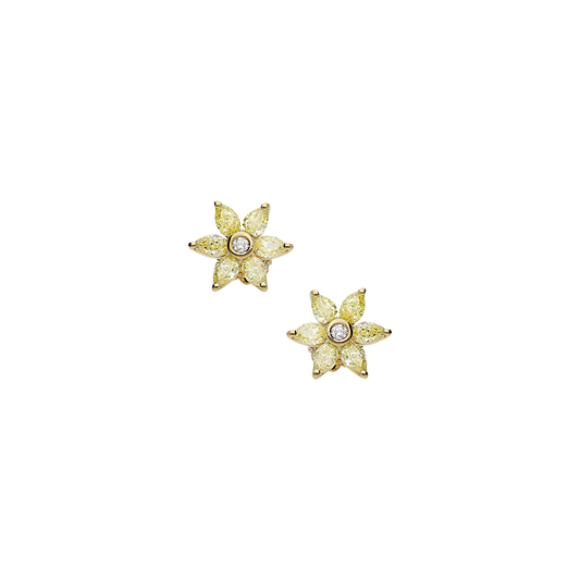 Earrings B10326/YW-Y Lenti & Villasco