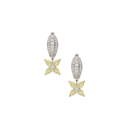 Earrings B11715/YW-WY