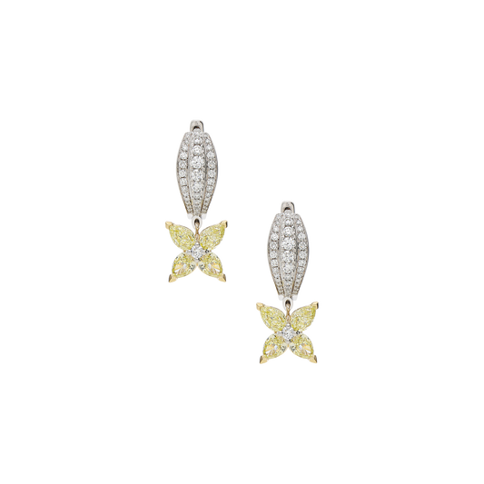 Earrings B11715/YW-WY