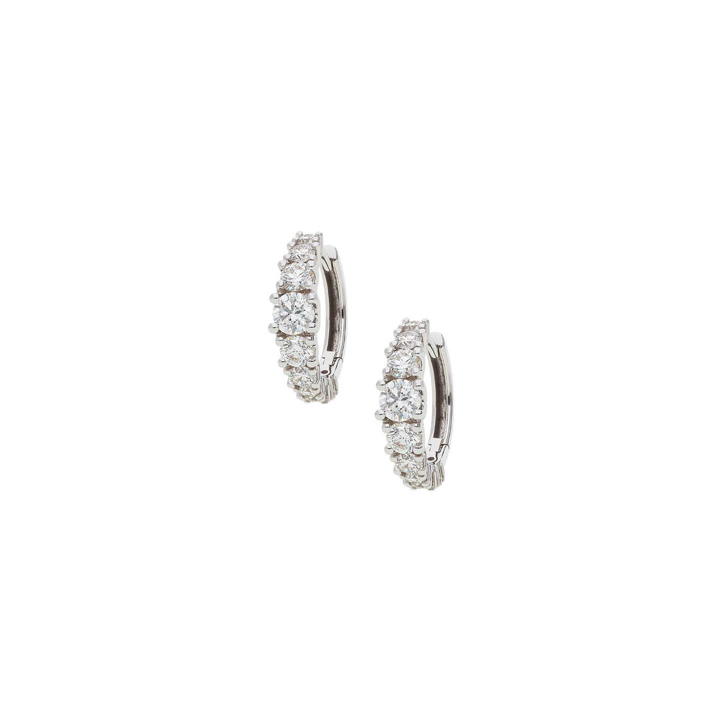 Earrings B11950/20W-W