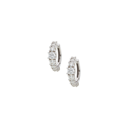Earrings B11950/20W-W