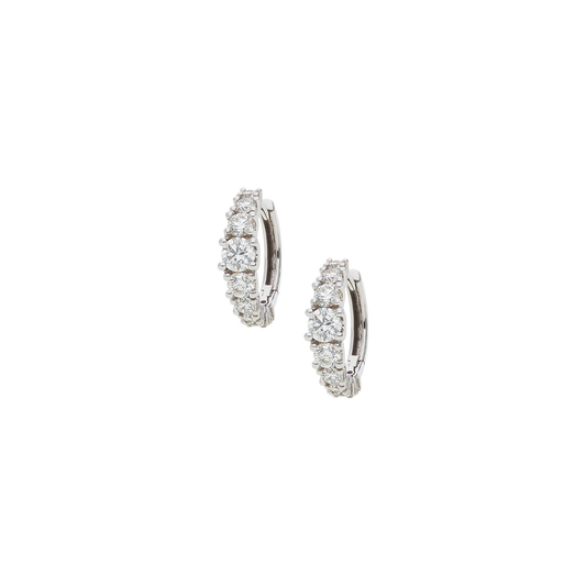 Earrings B11950/20W-W
