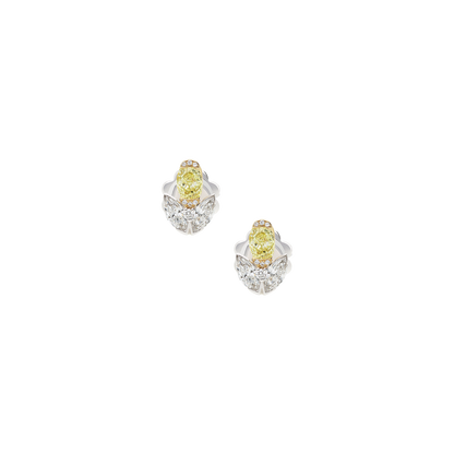 Earrings B12017/YW-WY