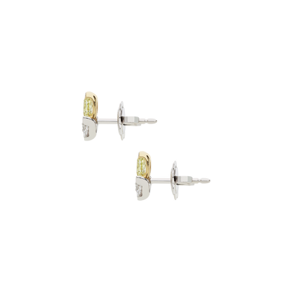 Earrings B12017/YW-WY