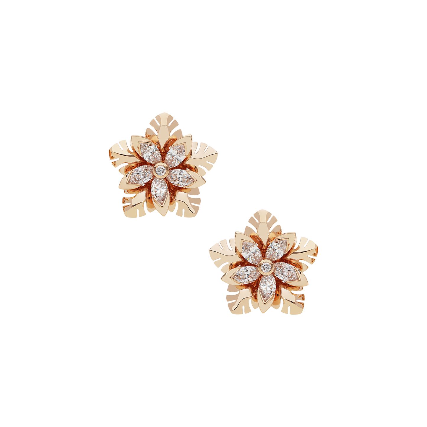 Earrings B12018/W-R