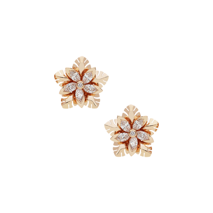 Earrings B12018/W-R