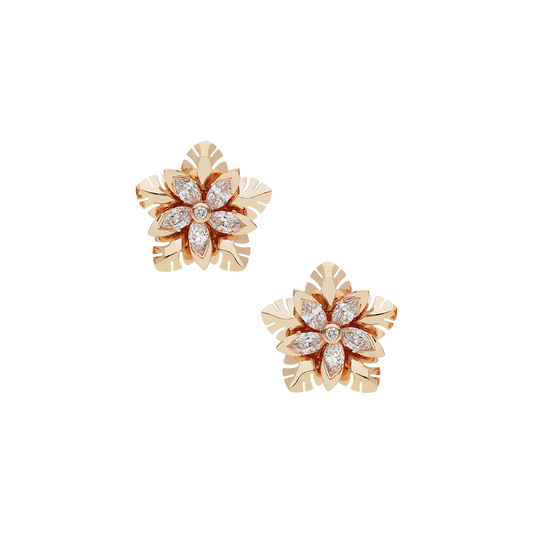 Earrings B12018/W-R