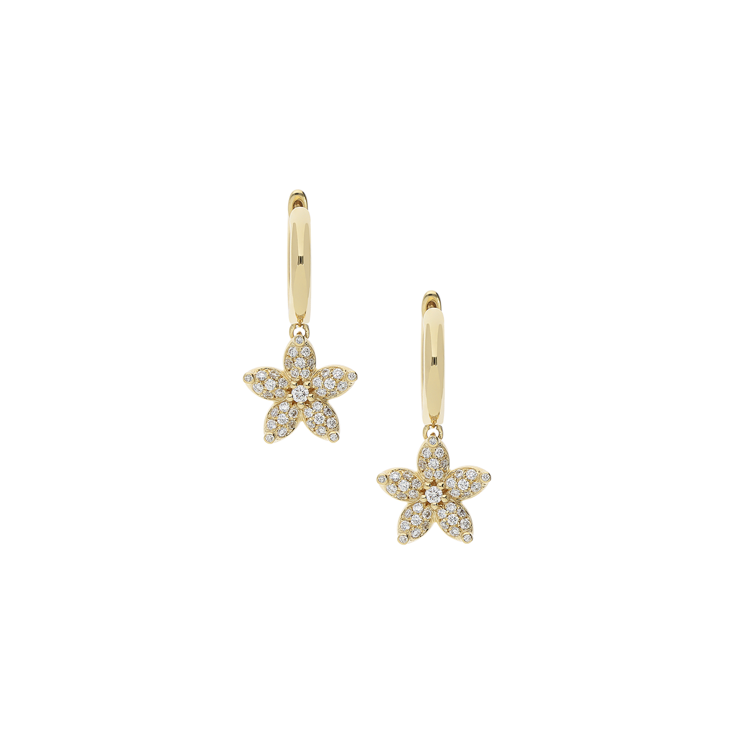 Earrings B12048/W-Y