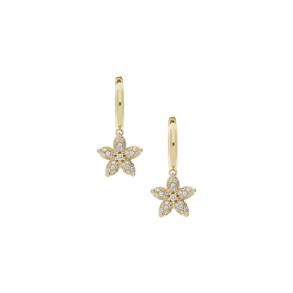 Earrings B12048/W-Y