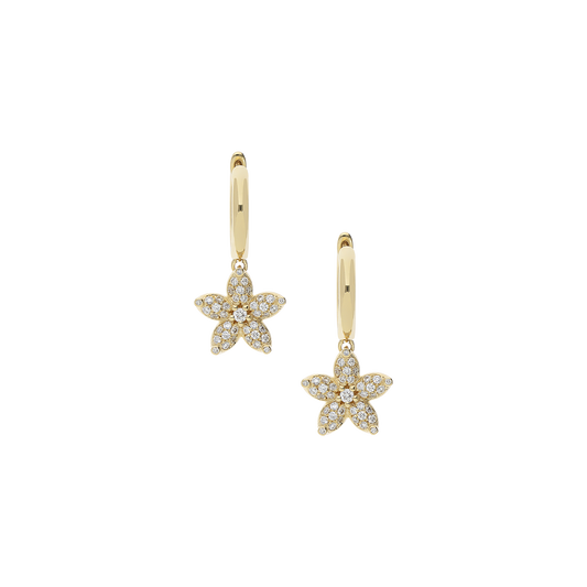 Earrings B12048/W-Y