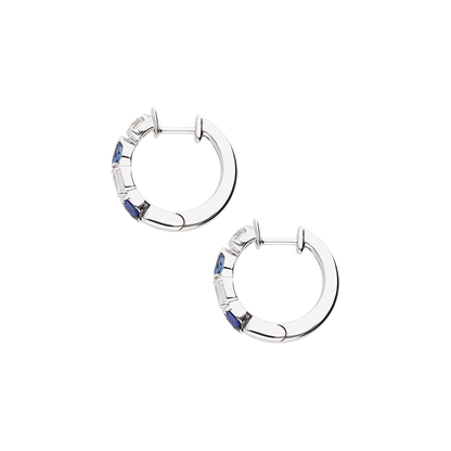 Earrings B12078/ZBW-W