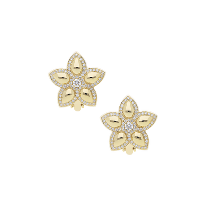 Earrings B12124/W-Y