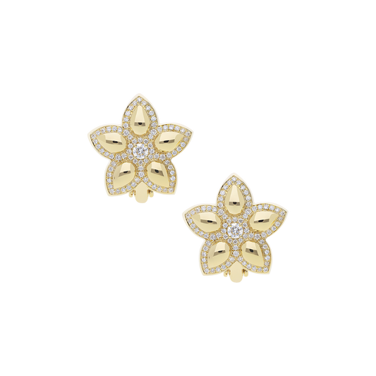 Earrings B12124/W-Y
