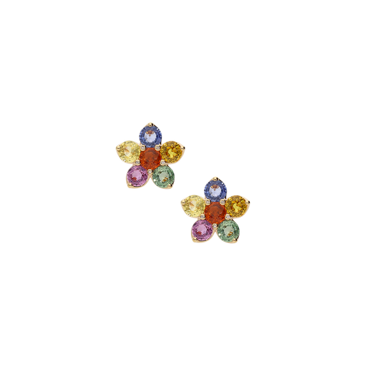 Earrings B8541/ZW-R