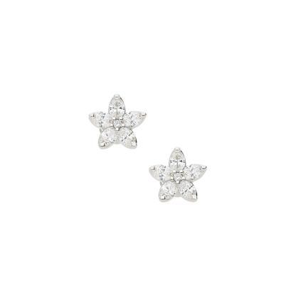 Earrings B8591A/W-W