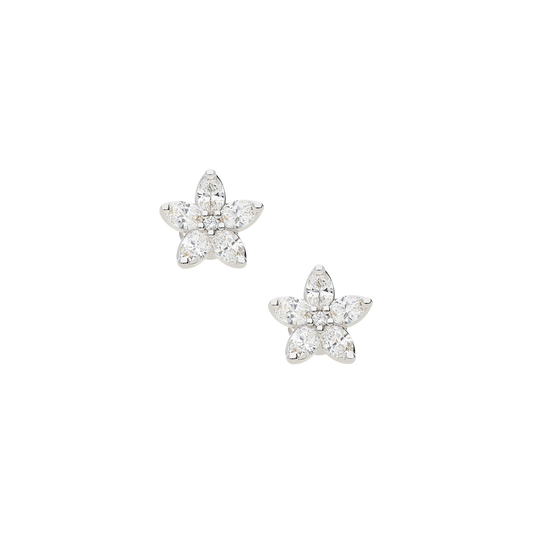 Earrings B8591A/W-W