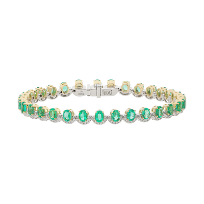 Bracelet BR12262/SMW-WY