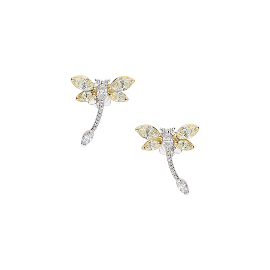 Earrings B11740/YW-YW Lenti & Villasco