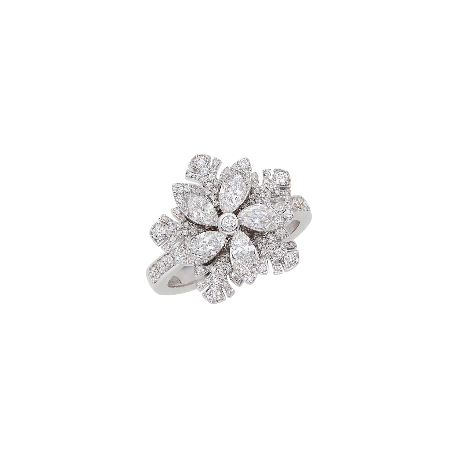 Ring A10979/W-W Lenti & Villasco