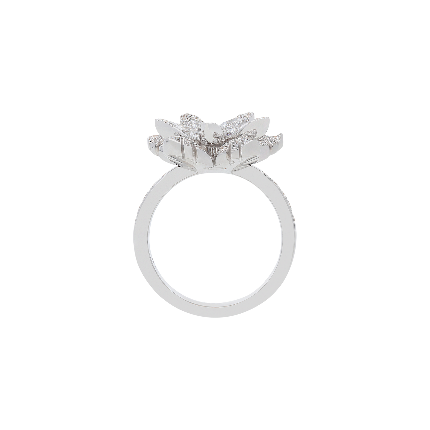Ring A10979/W-W Lenti & Villasco