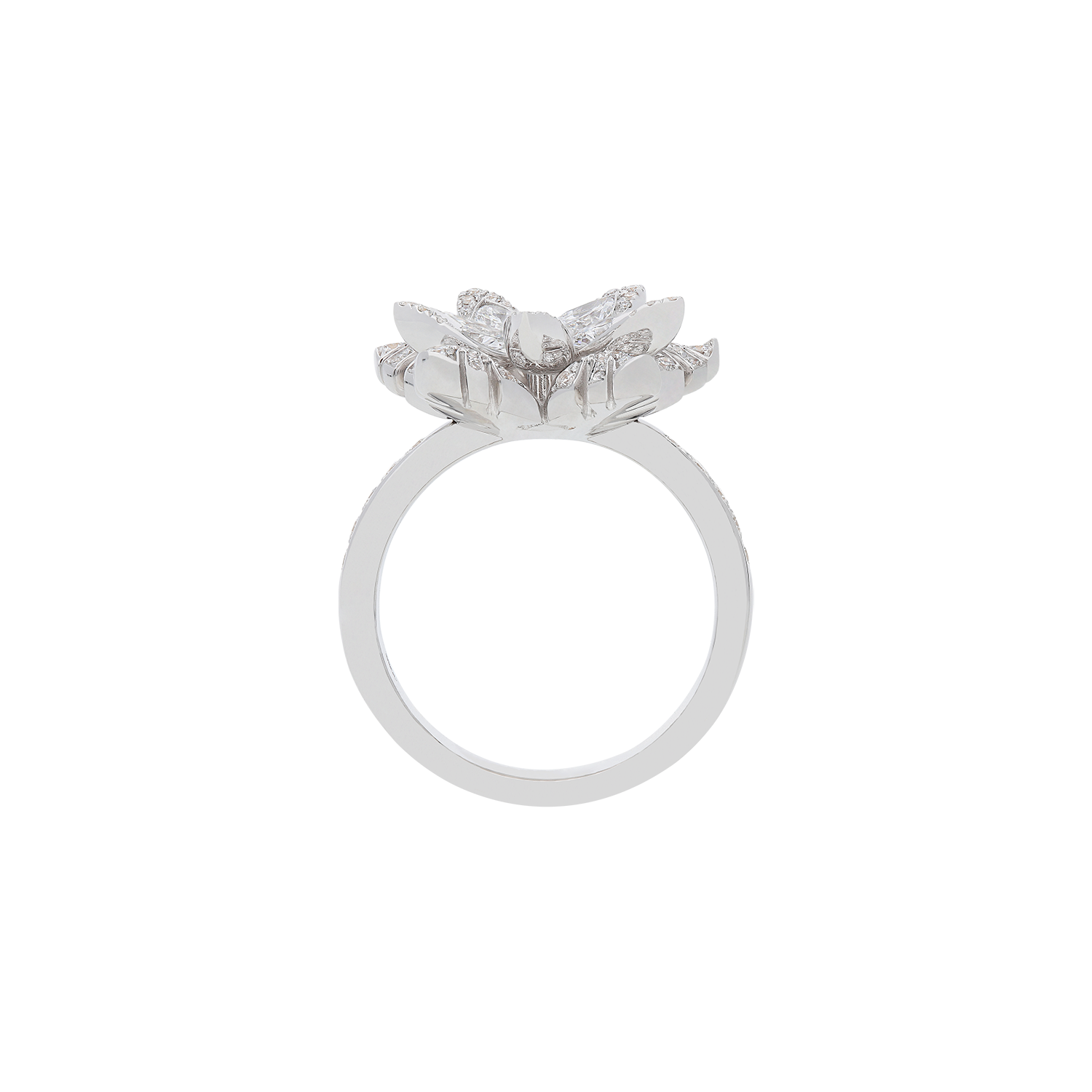 Ring A10979/W-W Lenti & Villasco