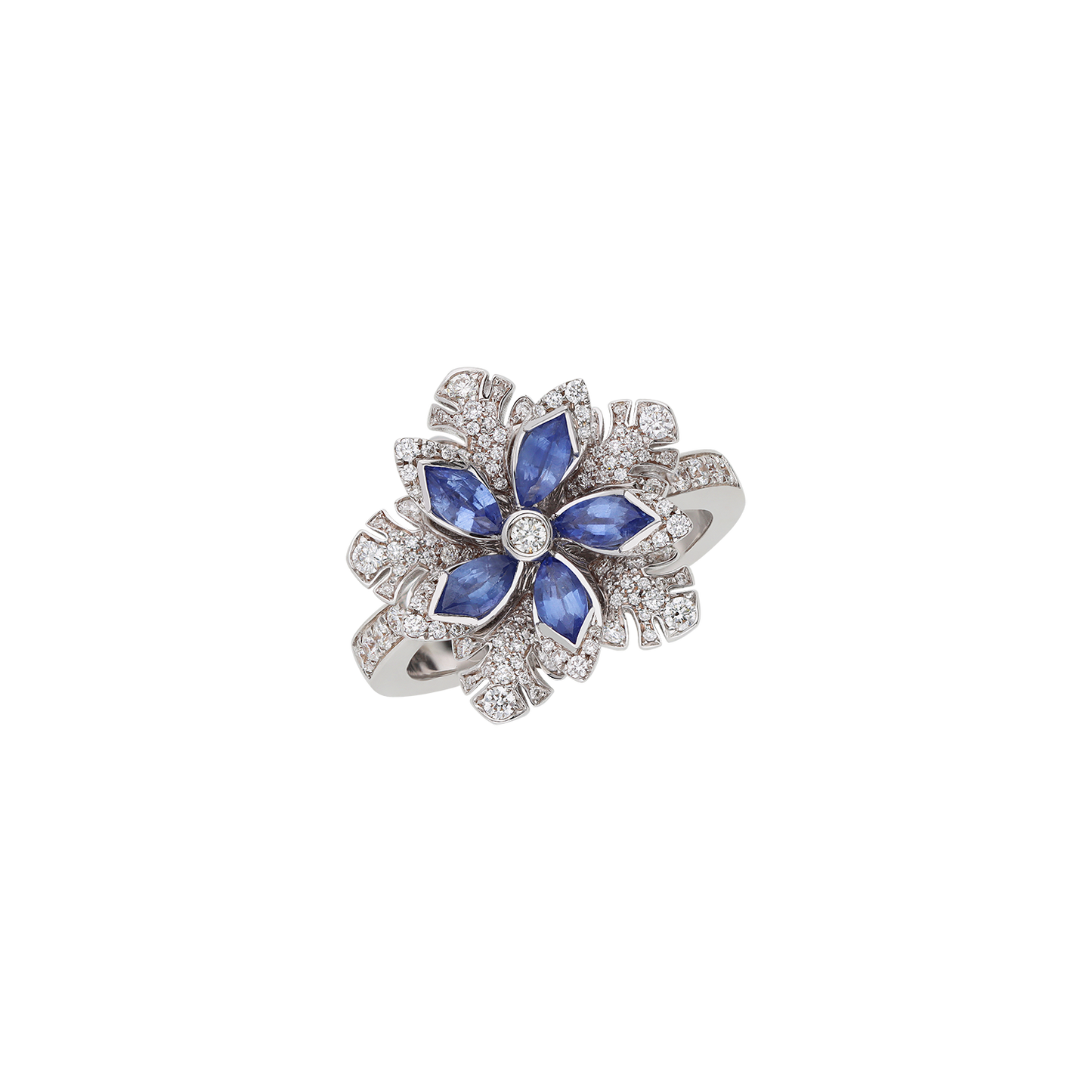 Ring A10979/ZAW-W Lenti & Villasco