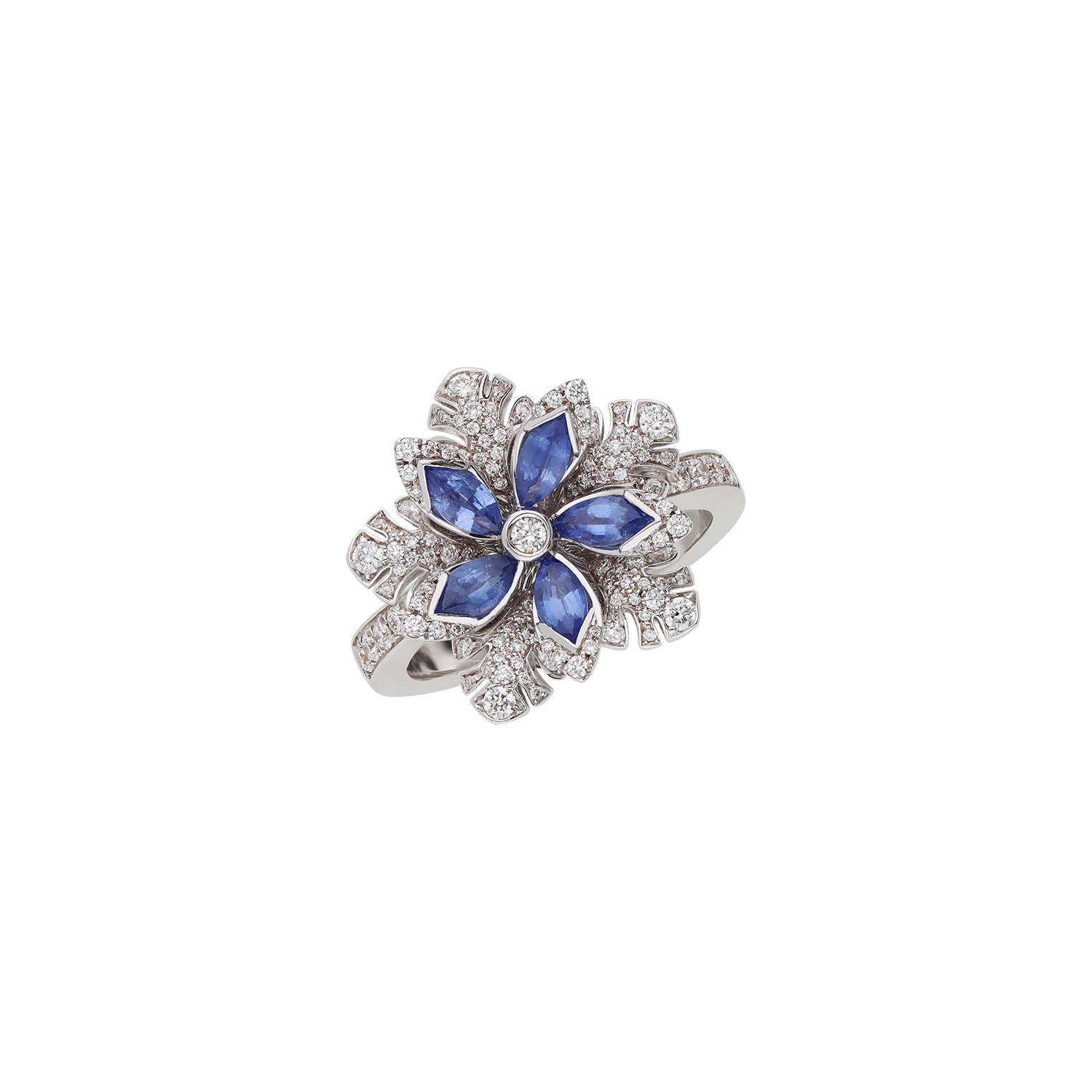 Ring A10979/ZAW-W Lenti & Villasco