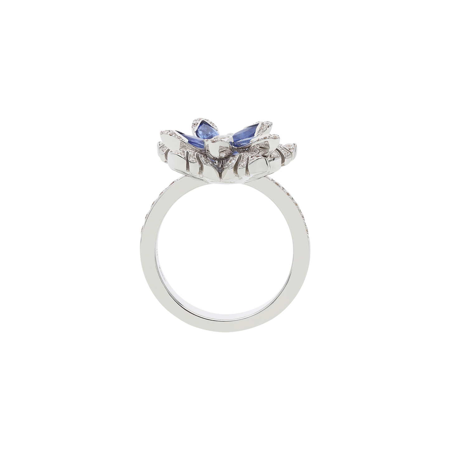 Ring A10979/ZAW-W Lenti & Villasco