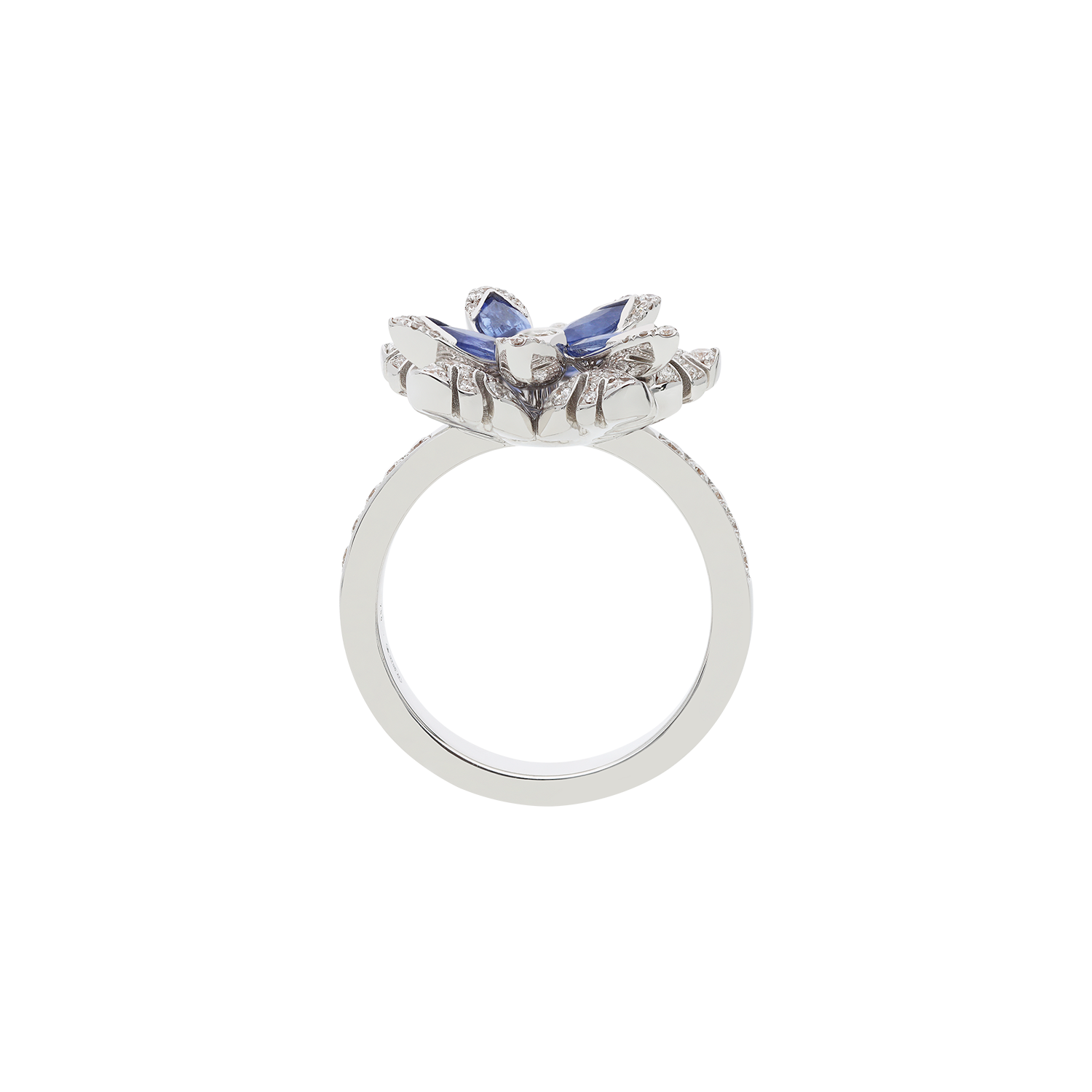 Ring A10979/ZAW-W Lenti & Villasco